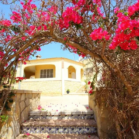 فيلة Ortembach1405 *